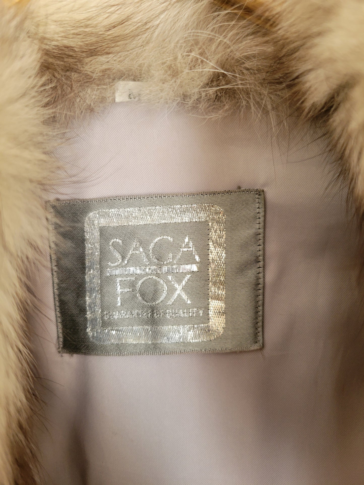 Saga Fox