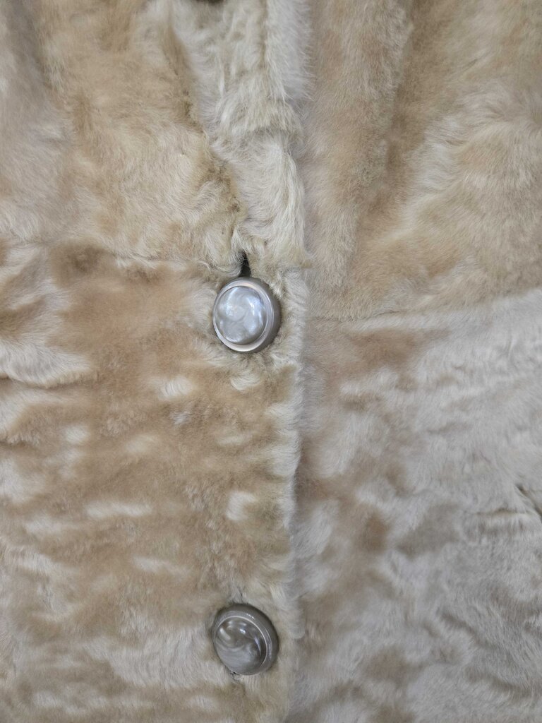Henri's Fur Salon